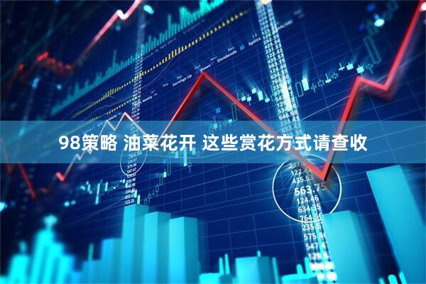 98策略 油菜花开 这些赏花方式请查收