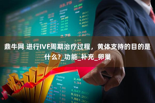 鼎牛网 进行IVF周期治疗过程，黄体支持的目的是什么?_功能_补充_卵巢