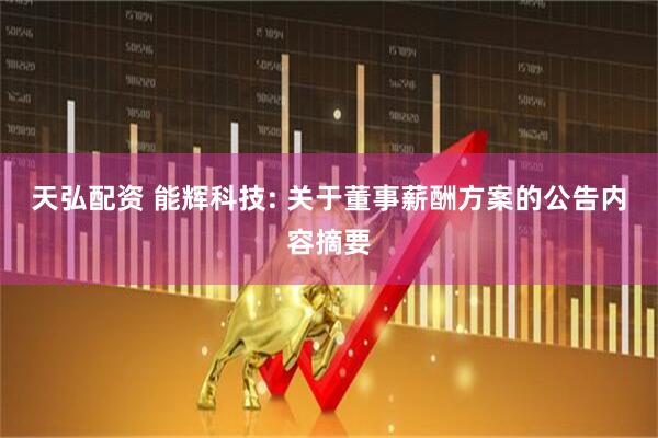 天弘配资 能辉科技: 关于董事薪酬方案的公告内容摘要